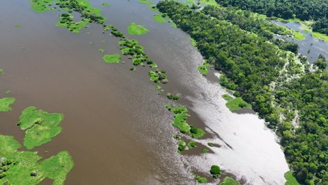 Amazon River Amazon Rainforest Biggest Tropical Stock Footage Video