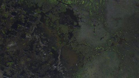 Aerial view of a swampy area in Sri Lanka