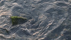 Wavy sea. Top view of moss covered rock in the wavy sea. Water surface background video.