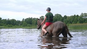 horse swim swimming wading walking in water lake - Powered by Shutterstock - Get 15% off with code: PIKWIZARD15
