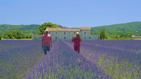 Provence, Lavender field at sunset, Valensole Plateau Provence France blooming lavender fields. Europe, couple men and woman mid age visiting the blooming lavender fields in the Provence France near