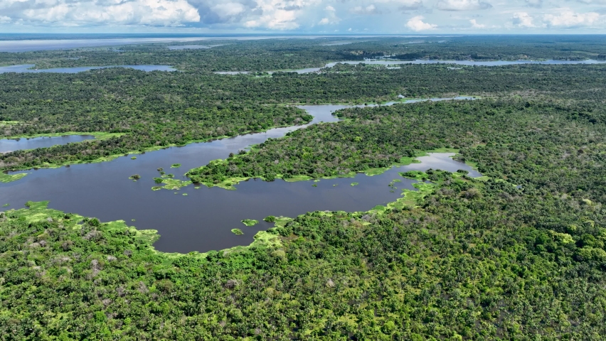 Amazon River at Amazon Rainforest. The biggest tropical rainforest of world. Manaus Brazil. Amazonia ecosystem. Nature wild life landscape. Global warming emissions reduction. Amazon river rainforest  Royalty-Free Stock Footage #1091486109