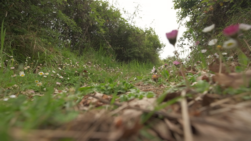 Low angle of man