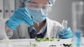 Doctor in gloves, mask transfers green sprout of medicinal herbs into test tube. Laboratory assistant closes test tube with sprout with cork. The study and production of natural plant extracts
 - Powered by Shutterstock - Get 15% off with code: PIKWIZARD15