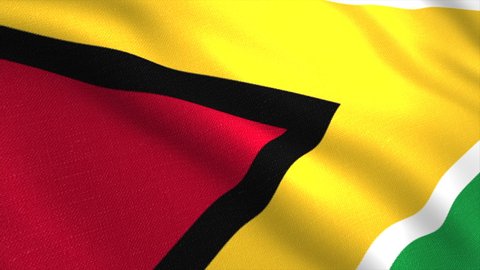 Flag of Guyana waving in the wind. Motion. National flag with highly detailed fabric texture fluttering in the wind.
