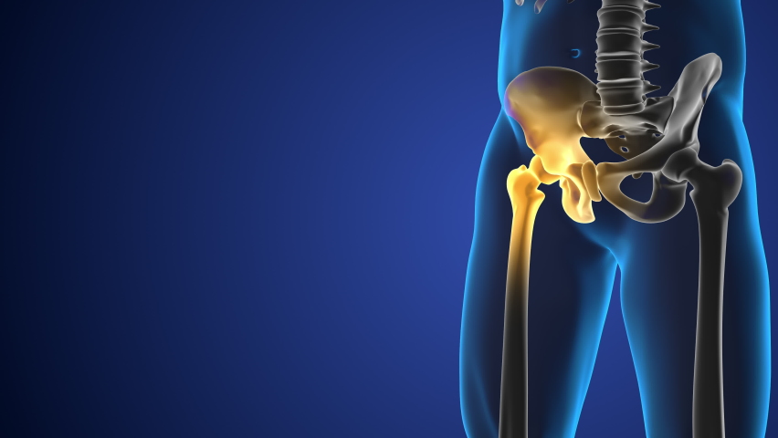 Pain in the hip joint medical background Royalty-Free Stock Footage #1091522177