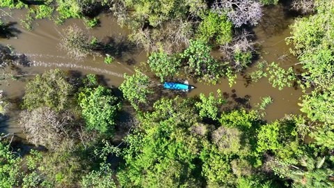 Boat sailing at Amazon river at Amazon forest at Amazonas state Brazil. Mangrove forest. Mangrove trees. Brazilian amazon rainforest nature landscape. Amazon igapo submerged vegetation. Forest landsca