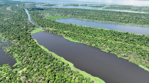 Manaus Brazil. Taruma River at Amazon Forest affluent of giant Black River at Amazonian Biome. Natural wildlife landscape. Global warming logging deforestation. Amazon rainforest wildlife.