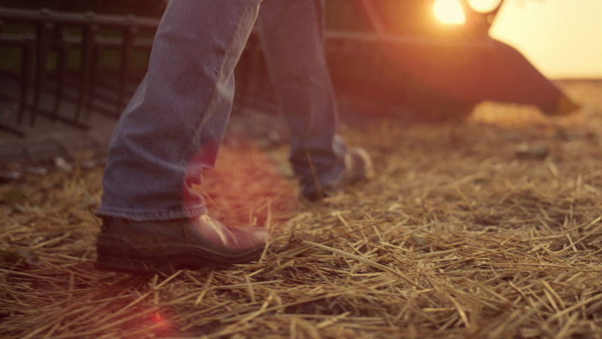 Man farmer foot going field straw inspect combine at sunset. Unknown agronomist legs walk countryside sole. Closeup cultivator prepare thatch machinery harvester. Grain wheat sunlight horizon concept Royalty-Free Stock Footage #1091533443