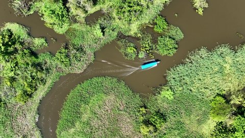 Boat sailing at Amazon river at Amazon forest at Amazonas state Brazil. Mangrove forest. Mangrove trees. Brazilian amazon rainforest nature landscape. Amazon igapo submerged vegetation. Forest trees.