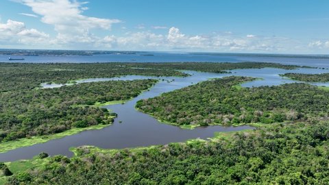 Manaus Brazil. Amazon River at Amazon Forest affluent of giant Black River at Amazonian Biome. Natural wildlife landscape. Global warming logging deforestation. Amazon rainforest wildlife.