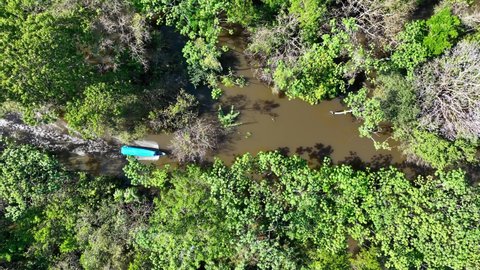 Boat sailing at Amazon river at Amazon forest at Amazonas state Brazil. Mangrove forest. Mangrove trees. Brazilian amazon rainforest nature landscape. Amazon igapo submerged vegetation.
