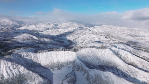 Winter wonderland with conifer trees and vibrant sunrise in the background. Drone footage of the vivid blue skyline above mountain peaks covered in snow. High quality 4k footage