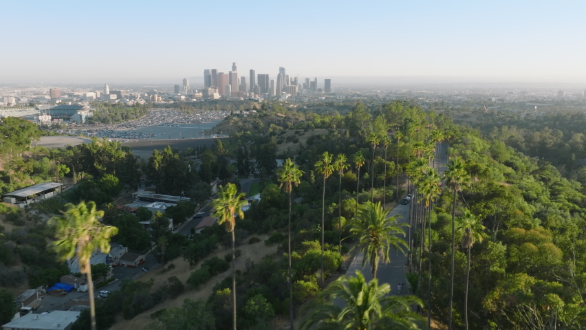 Drone flying above road lined with tall green palm trees. Palms in golden sunset light on Hollywood hills with scenic Los Angeles downtown panoramic view, California, USA aerial travel tourism footage Royalty-Free Stock Footage #1091568397