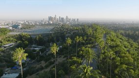 Drone flying above road lined with tall green palm trees. Palms in golden sunset light on Hollywood hills with scenic Los Angeles downtown panoramic view, California, USA aerial travel tourism footage