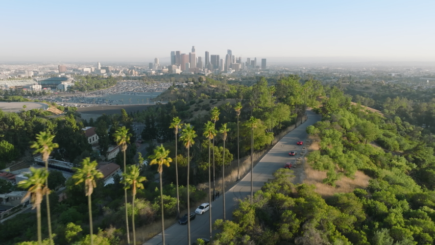 Drone flying above road lined with tall green palm trees. Palms in golden sunset light on Hollywood hills with scenic Los Angeles downtown panoramic view, California, USA aerial travel tourism footage Royalty-Free Stock Footage #1091568397