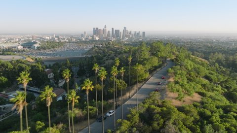 Drone flying above road lined with tall green palm trees. Palms in golden sunset light on Hollywood hills with scenic Los Angeles downtown panoramic view, California, USA aerial travel tourism footage