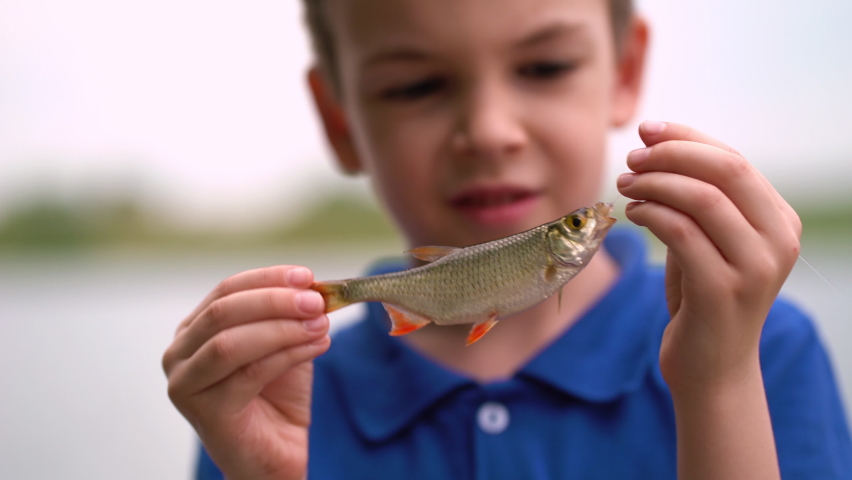 Young fisherman catch a fish rudd at the lake on a summer day | Shutterstock HD Video #1091569223