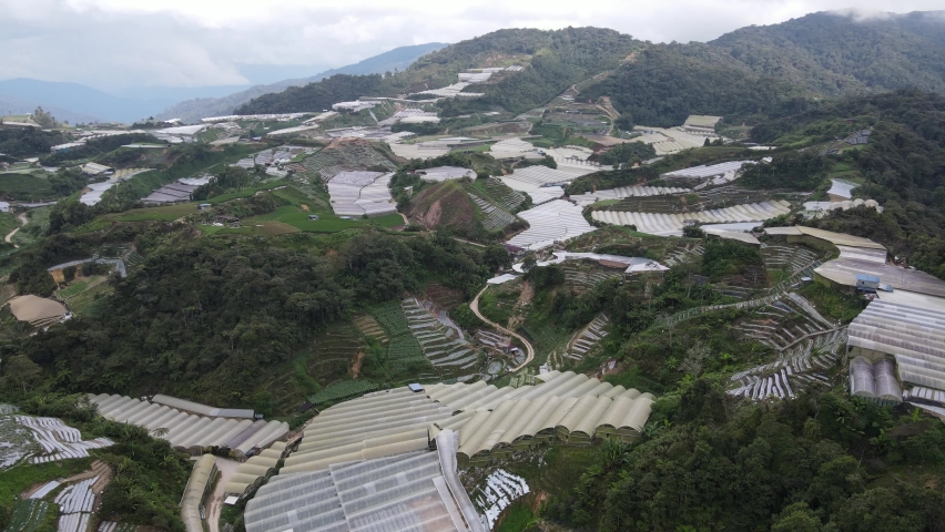 General Landscape View of the Cameron Highlands, Malaysia