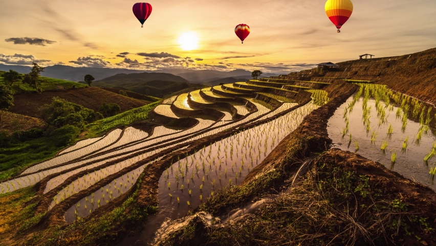 Colorful hot air balloons flying above Terraced Paddy Field at Mae-Jam Village in Ban Pa Bong Piang, Chaing Mai Province , Thailand, Asia.
 Royalty-Free Stock Footage #1091572215