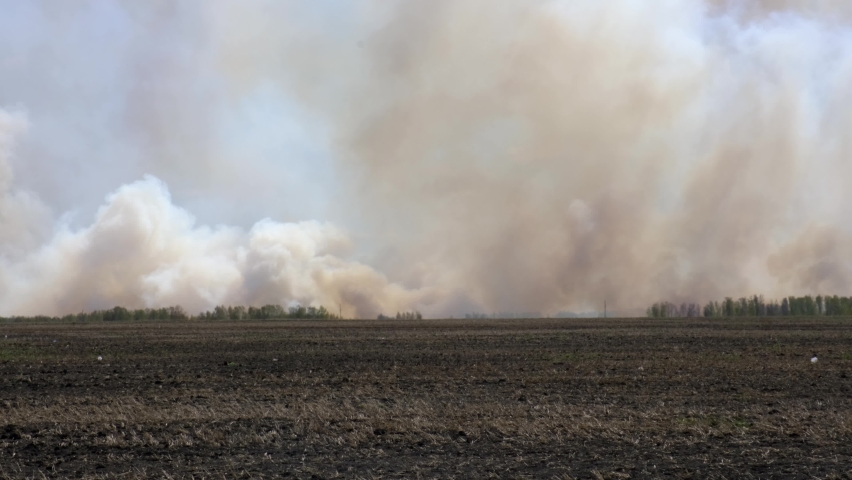 clouds of smoke from a forest fire rise into the sky