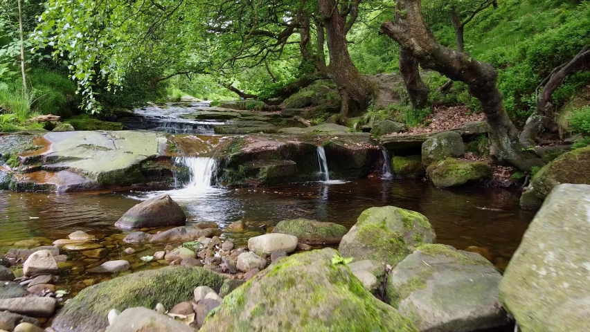 Slow flowing moorland stream with water moving over small and large rocks and overhanging trees. Shot by low flying drone. Royalty-Free Stock Footage #1091577905