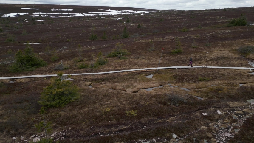 A woman and her dog walking on a mountain path with snow behind them. Aerial trucking right.
