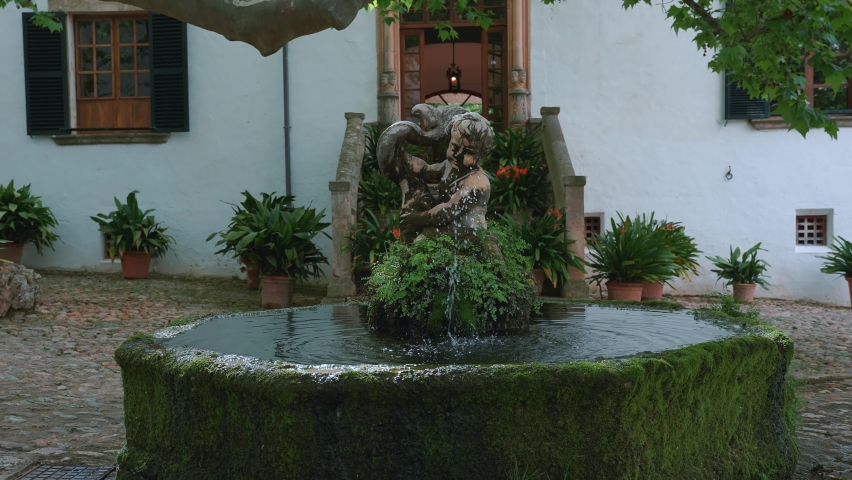 Close-up of branch over water fountain with child statue. Potted plants decorated against old building in town. Beautiful frontyard at residential district.