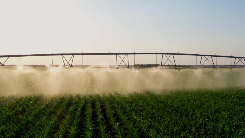 agriculture irrigation of farm field. automatic artificial irrigation of the field for good harvest. smart agriculture eco farming concept artificial intelligence. agricultural irrigation land farm
 Royalty-Free Stock Footage #1091593673