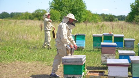 Male adult apiarist takes a wooden box and carries it to another place. Bee farm at the meadow near the garden.