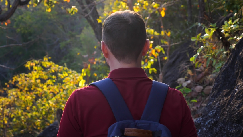 Adult male tourist walk on track in woods during sunset time, back view. Young man with backpack go hiking or trekking on path in forest in natural park, rear view. Travel, tourism concept. | Shutterstock HD Video #1091608169