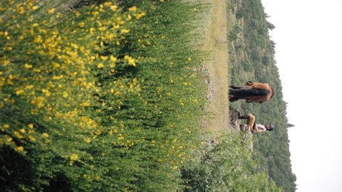 Vertival shot of female horse rider and her chocolate labrador retriever resting an a spring day. Bush of purging broom flowers in front.