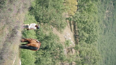 High angle vertical shot of Female horse rider with yellow breeches and her brown andalusian horse grazing in an oak forest.
