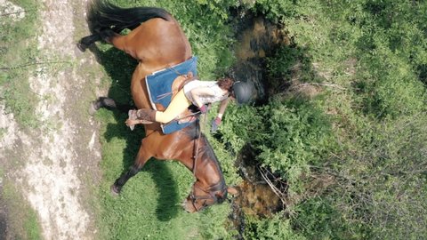 High angle shot of female on a chestnut andalusian horse and her chocolate labrador retriever crossing a river.