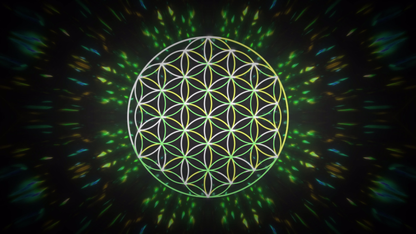 Flower Of Life. Abstract Sacred Geometry Loop Animation | Shutterstock HD Video #1091611621