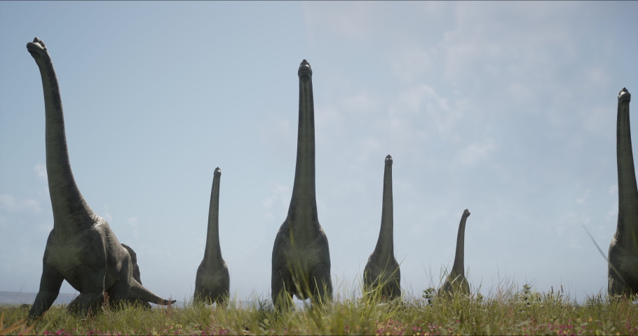 Brachiosaurus herd, sauropod walking in search of food. Jurassic period, Mesozoic era. 3D rendering. High quality 4k footage