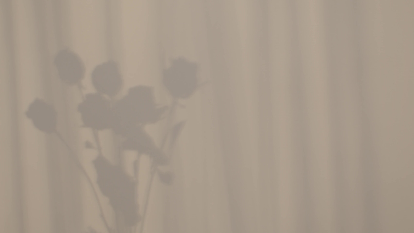 Flowers shadow in stone, sun rays and light in room with curtain in window, slow motion, 8K downscale, 4K. Royalty-Free Stock Footage #1091617839