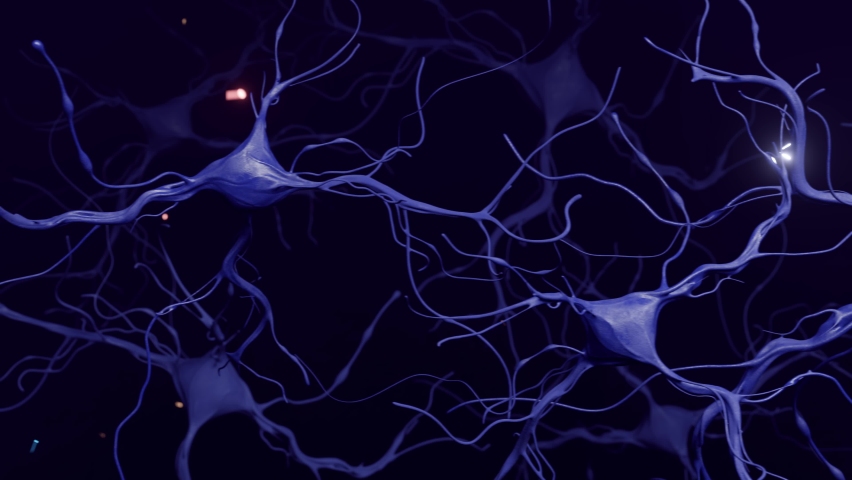 Medical concept. 3d visualization of neural connections in the brain. The dendrite receives information and conducts an impulse to the neuron.
