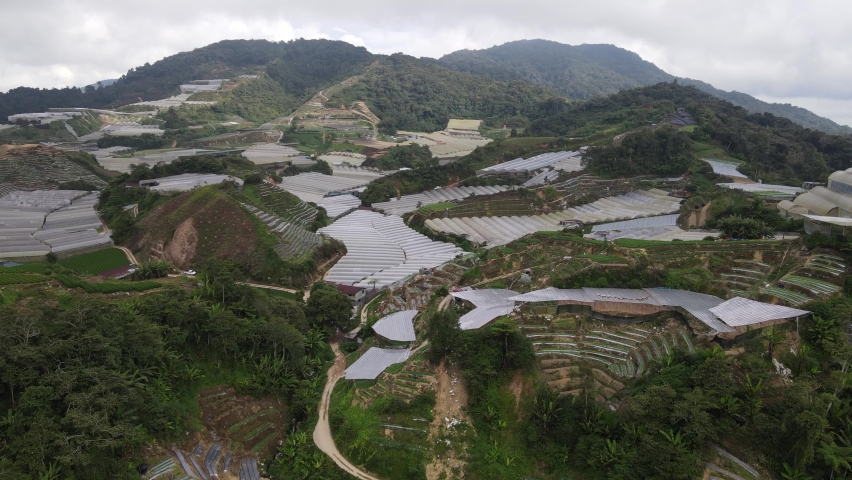 General Landscape View of the Cameron Highlands, Malaysia
