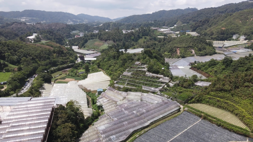 General Landscape View of the Cameron Highlands, Malaysia