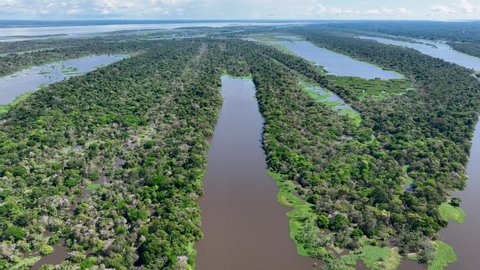 Manaus Brazil. Amazon River at Amazon Forest affluent of giant Black River at Amazonian Biome. Natural wildlife landscape. Global warming logging deforestation. Amazon rainforest wildlife.