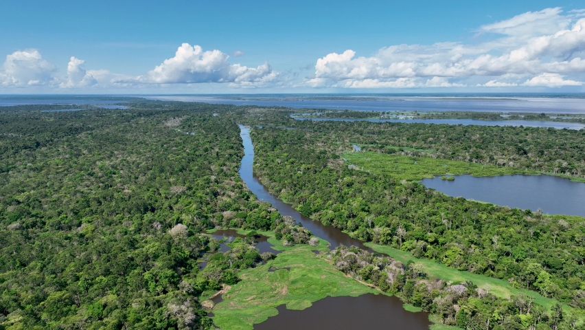 Amazon River at Amazon Forest. Famous tropical forest of world. Manaus Brazil. Amazonian ecosystem. Nature wild life landscape. Solimoes Amazon river biome. Amazon lifestyle. Amazonian biodiversity. Royalty-Free Stock Footage #1091621739
