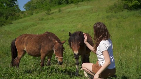 A woman feeds two horses and ponies in a green meadow. Walk in nature on farm. Domestic cattle. Horses graze and eat grass. Caucasian girl strokes and cares for a pet. The stallion eats from the hand.