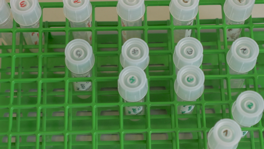 Biological sample holder with test tubes. Overhead shot.  | Shutterstock HD Video #1091631749