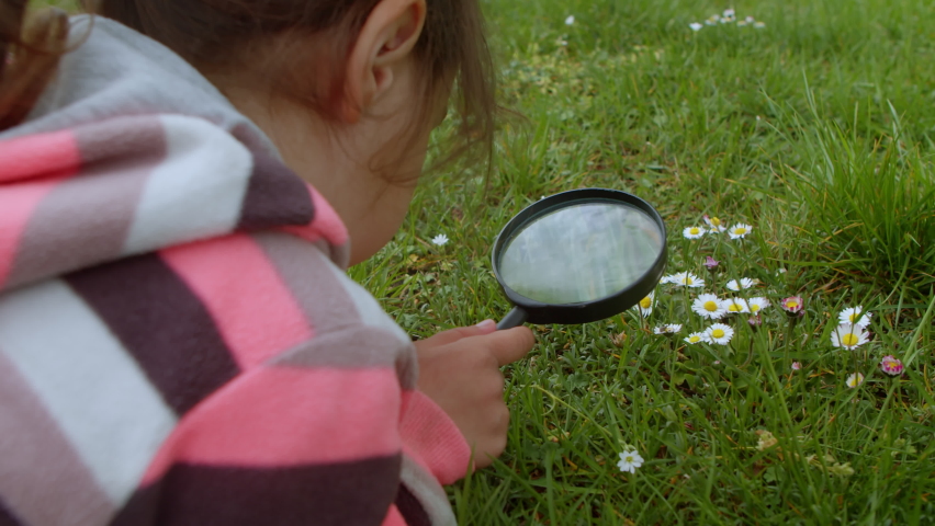 Cute little girl naturalist explores the life of plants and insects with a magnifying glass. Smart inquisitive girl botanist and entomologist explores nature. Close-up portrait of a child | Shutterstock HD Video #1091640659