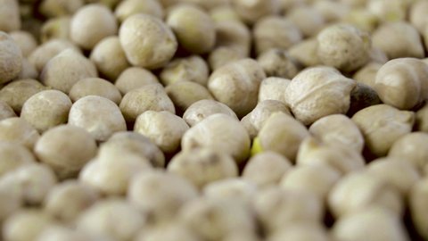 Close-up Chickpea beans. A variety of beans, mung beans