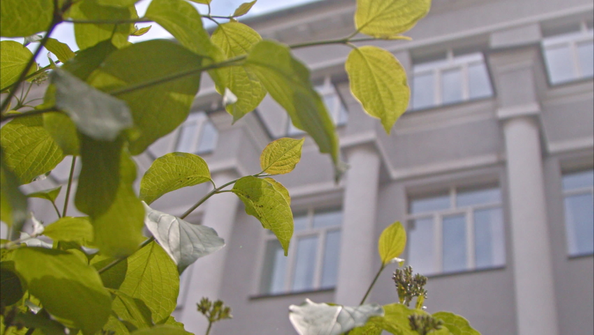 educational institution with columns in the foreground green lilac branches. the university is waiting for applicants. high school. Slow Motion 100fps 2.8k