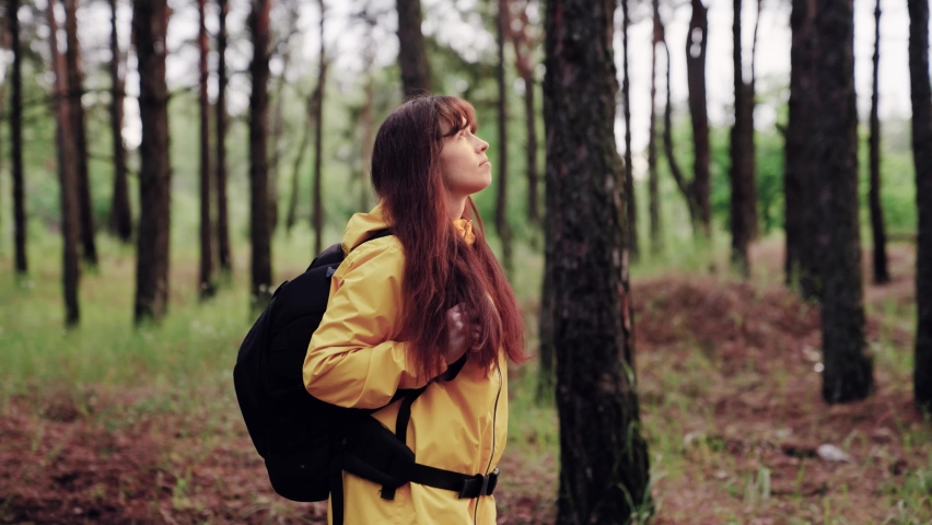 Hiking woman tourist in forest in rain. Free tourist girl walking with backpack through dense forest nature on summer day. Free travel concept. Woman on vacation walking alone in forest, meditation | Shutterstock HD Video #1091654017