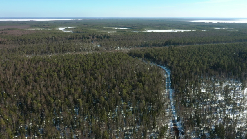 Bird's-eye view of the forest. Top view of the winter pine forest. | Shutterstock HD Video #1091658647