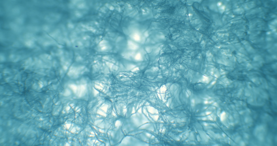 Napkin under a microscope. Microscopic web with moving camera above. Thriller web of unknown texture under a scope. Abstract background under microscope. A lot of wooden strings under extreme close-up | Shutterstock HD Video #1091662231